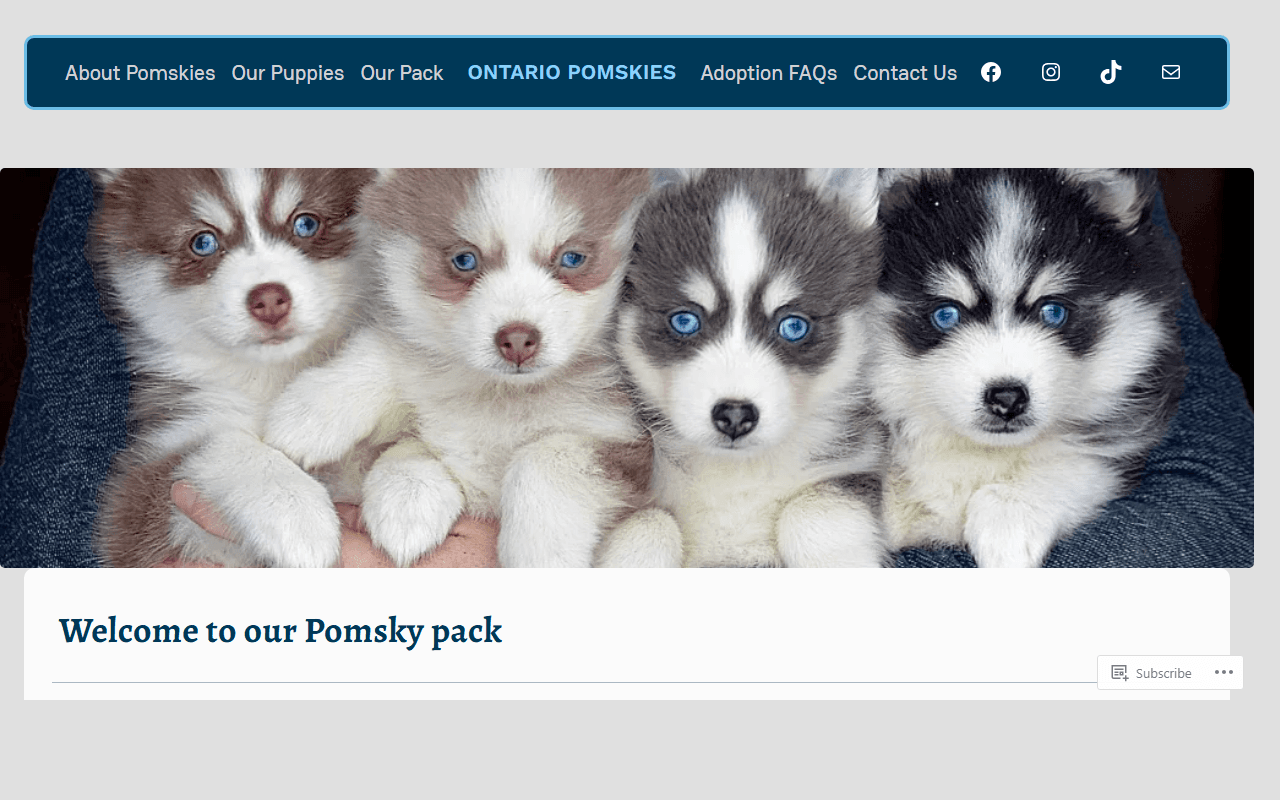 Ontario Pomskies (Keurwood) puppy lineup homepage screenshot